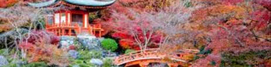 Japonca Terc�me �zmir Yeminli Terc�man (232) 425-4940